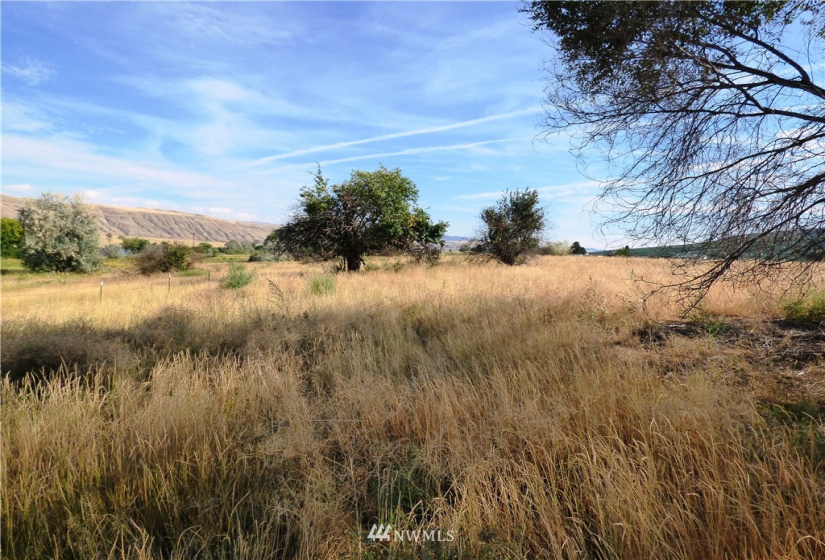 24 Hadley, Brewster, Washington 98812, ,Land,For Sale,Hadley,NWM1843393