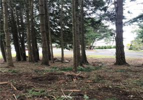 2876 Leeward, Bellingham, Washington 98226, ,Land,For Sale,Georgia Manor,Leeward,NWM1842413