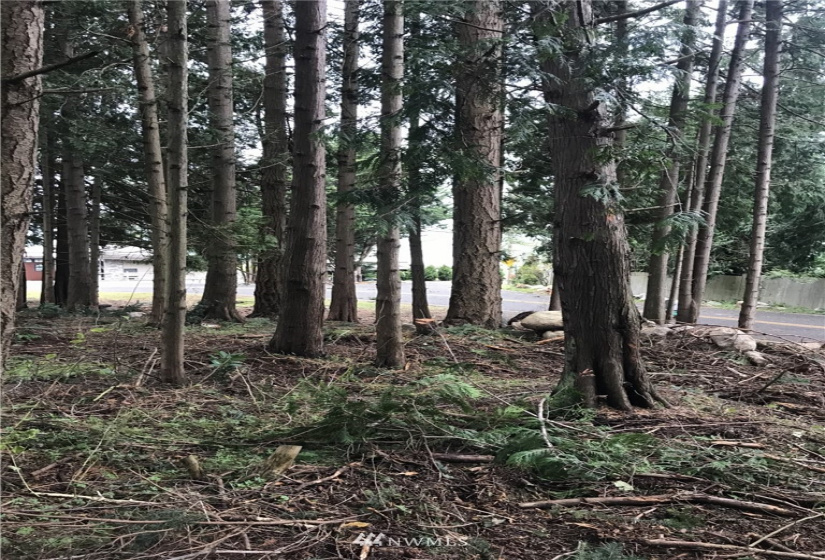 2876 Leeward, Bellingham, Washington 98226, ,Land,For Sale,Georgia Manor,Leeward,NWM1842413