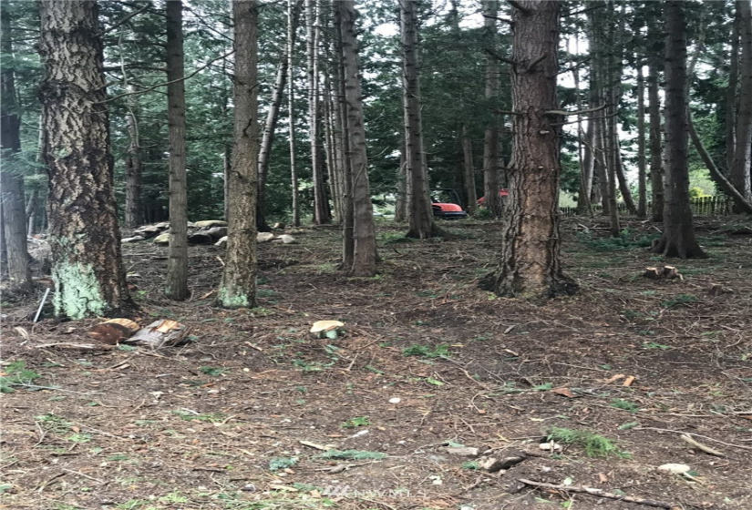 2876 Leeward, Bellingham, Washington 98226, ,Land,For Sale,Georgia Manor,Leeward,NWM1842413