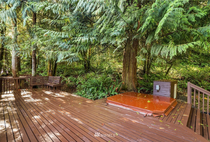 5522 308th, Preston, Washington 98050, 4 Bedrooms Bedrooms, ,5 BathroomsBathrooms,Residential,For Sale,308th,NWM1843135