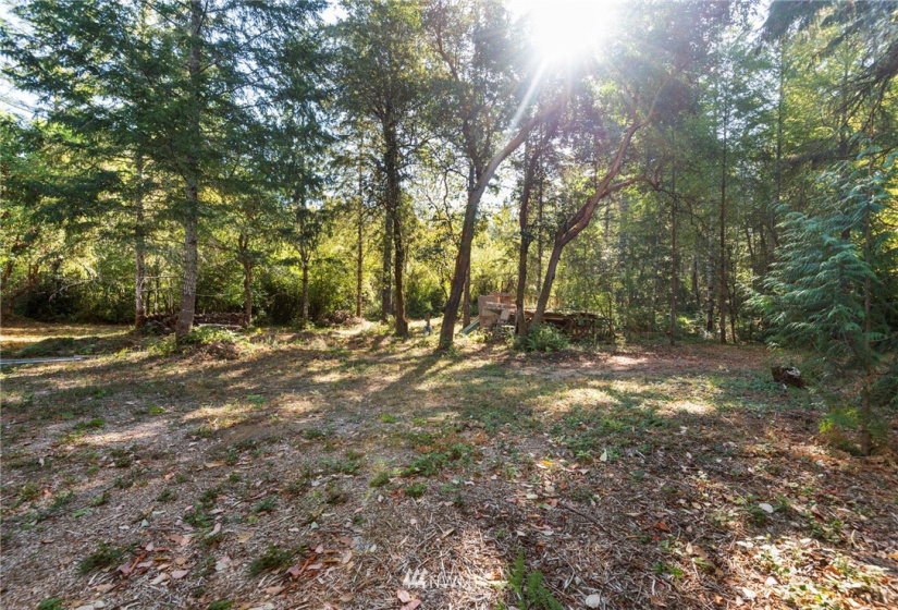 1511 195th, Lakebay, Washington 98349, ,Land,For Sale,195th,NWM1840796