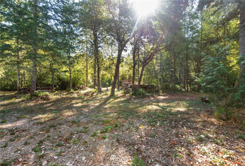 1511 195th, Lakebay, Washington 98349, ,Land,For Sale,195th,NWM1840796