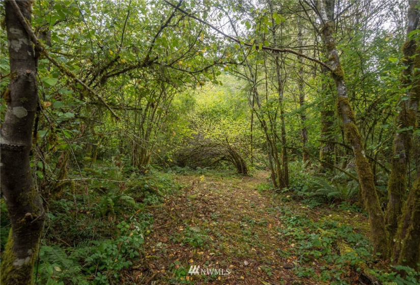 1511 195th, Lakebay, Washington 98349, ,Land,For Sale,195th,NWM1840796