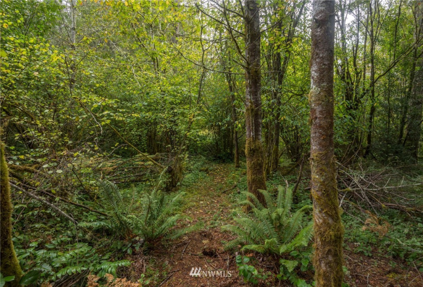 1511 195th, Lakebay, Washington 98349, ,Land,For Sale,195th,NWM1840796