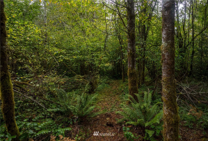 1511 195th, Lakebay, Washington 98349, ,Land,For Sale,195th,NWM1840796