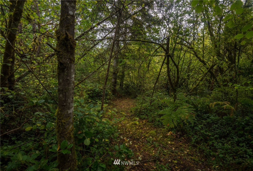 1511 195th, Lakebay, Washington 98349, ,Land,For Sale,195th,NWM1840796