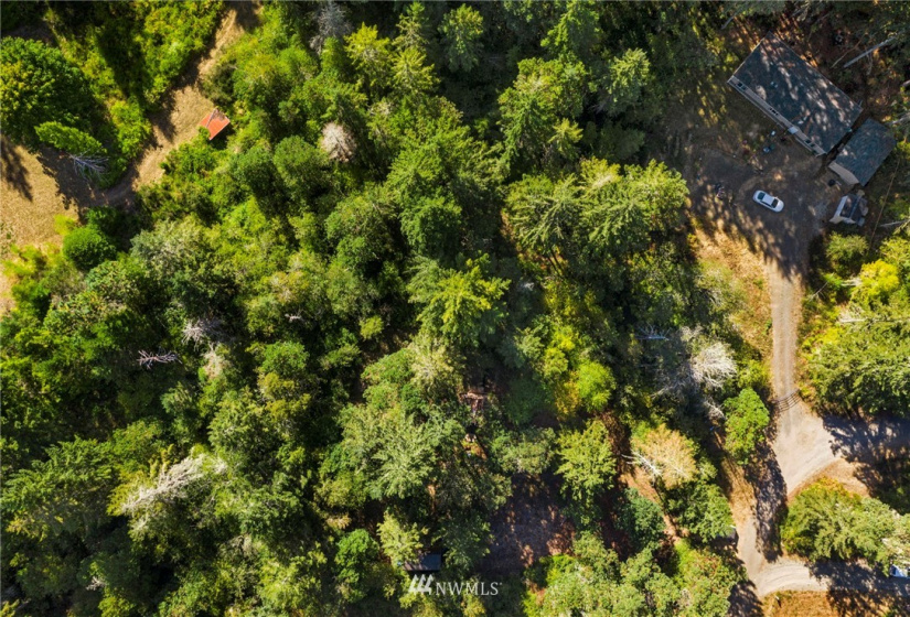 1511 195th, Lakebay, Washington 98349, ,Land,For Sale,195th,NWM1840796