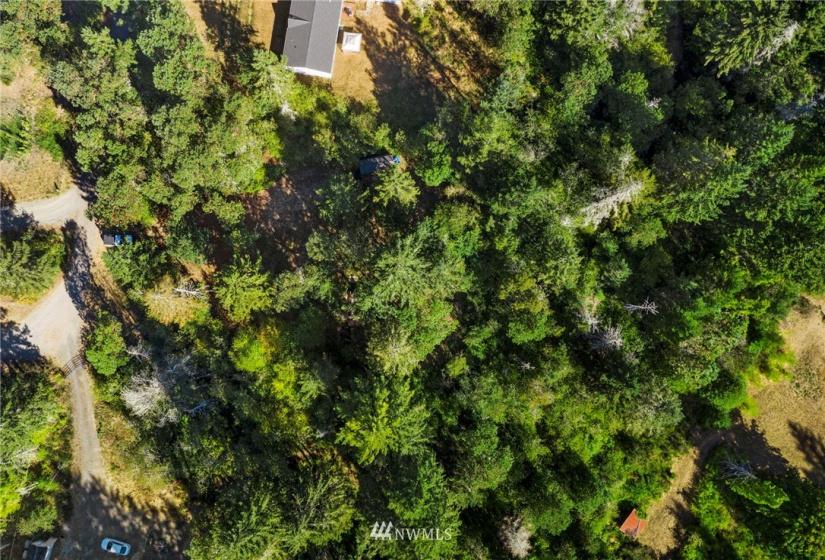1511 195th, Lakebay, Washington 98349, ,Land,For Sale,195th,NWM1840796