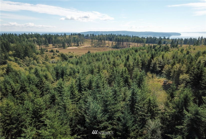 1385 Hersig, Oak Harbor, Washington 98277, ,Land,For Sale,Hersig,NWM1837319
