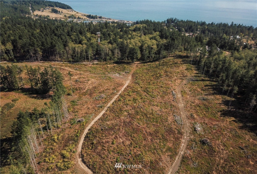 1385 Hersig, Oak Harbor, Washington 98277, ,Land,For Sale,Hersig,NWM1837319