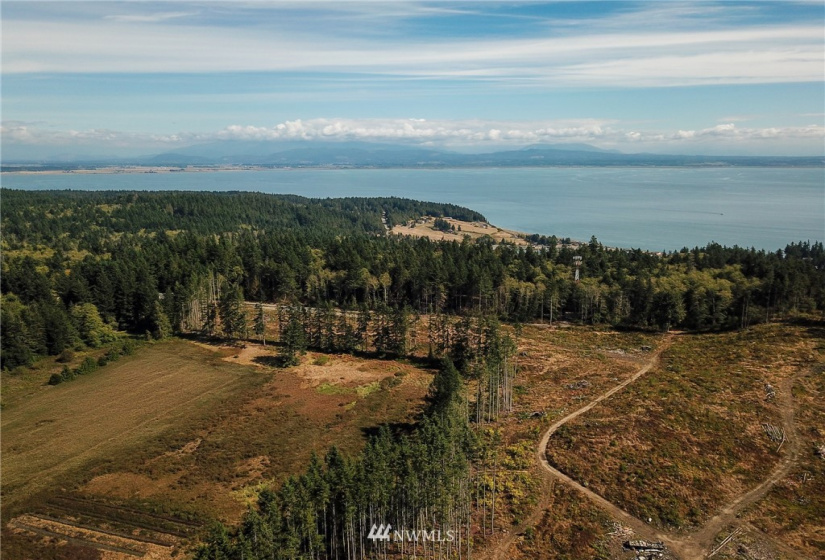 1385 Hersig, Oak Harbor, Washington 98277, ,Land,For Sale,Hersig,NWM1837319