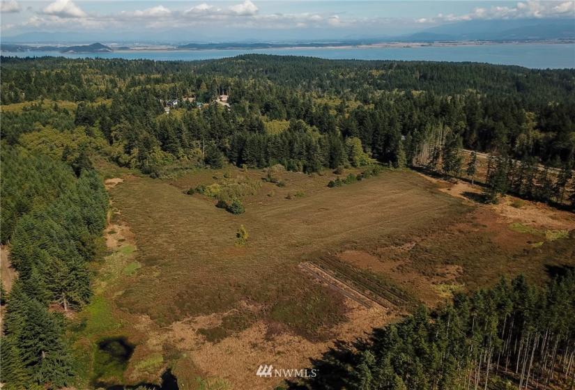 1385 Hersig, Oak Harbor, Washington 98277, ,Land,For Sale,Hersig,NWM1837319