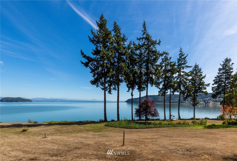 453 Jackrabbit, Oak Harbor, Washington 98277, 2 Bedrooms Bedrooms, ,1 BathroomBathrooms,Residential,For Sale,Jackrabbit,NWM1843278