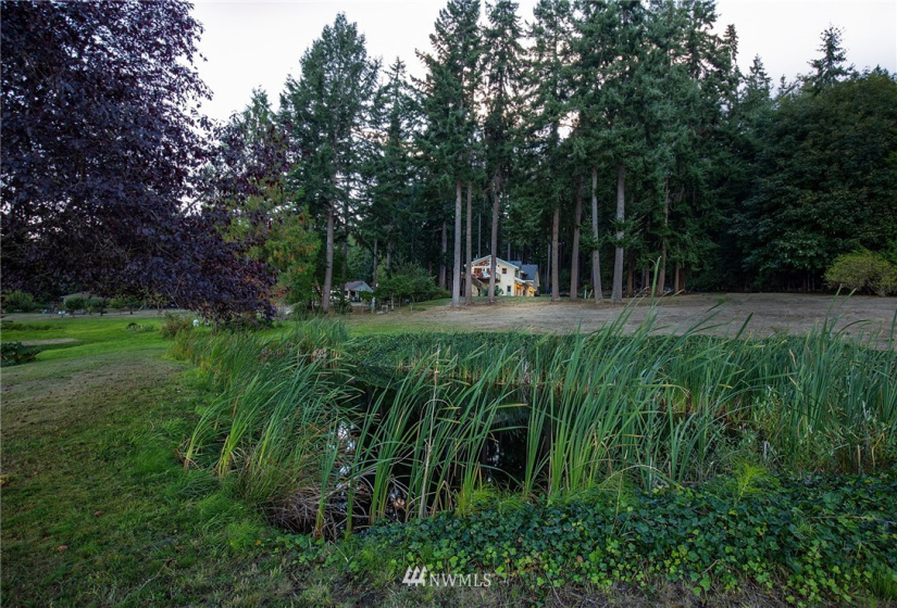 453 Jackrabbit, Oak Harbor, Washington 98277, 2 Bedrooms Bedrooms, ,1 BathroomBathrooms,Residential,For Sale,Jackrabbit,NWM1843278