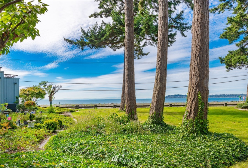 7806 Birch Bay, Blaine, Washington 98230, 2 Bedrooms Bedrooms, ,1 BathroomBathrooms,Residential,For Sale,Jacob's Landing,Birch Bay,NWM1842145