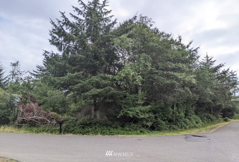 801 Vagabond, Ocean Shores, Washington 98569, ,Land,For Sale,DIV 16 LOT 92 BLK 15,Vagabond,NWM1844224