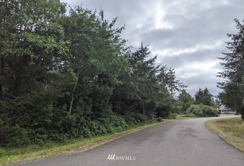 801 Vagabond, Ocean Shores, Washington 98569, ,Land,For Sale,DIV 16 LOT 92 BLK 15,Vagabond,NWM1844224