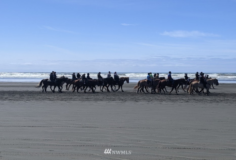801 Vagabond, Ocean Shores, Washington 98569, ,Land,For Sale,DIV 16 LOT 92 BLK 15,Vagabond,NWM1844224