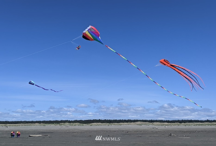 801 Vagabond, Ocean Shores, Washington 98569, ,Land,For Sale,DIV 16 LOT 92 BLK 15,Vagabond,NWM1844224