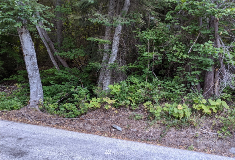 25495 White River, Leavenworth, Washington 98826, ,Land,For Sale,White River,NWM1844759