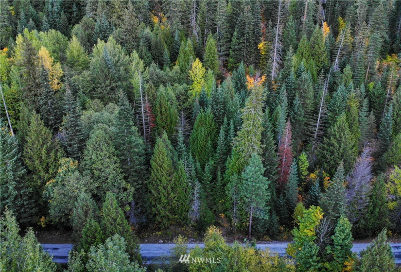 25495 White River, Leavenworth, Washington 98826, ,Land,For Sale,White River,NWM1844759