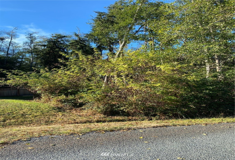 0 XXX Cox, Coupeville, Washington 98239, ,Land,For Sale,Cox,NWM1842478