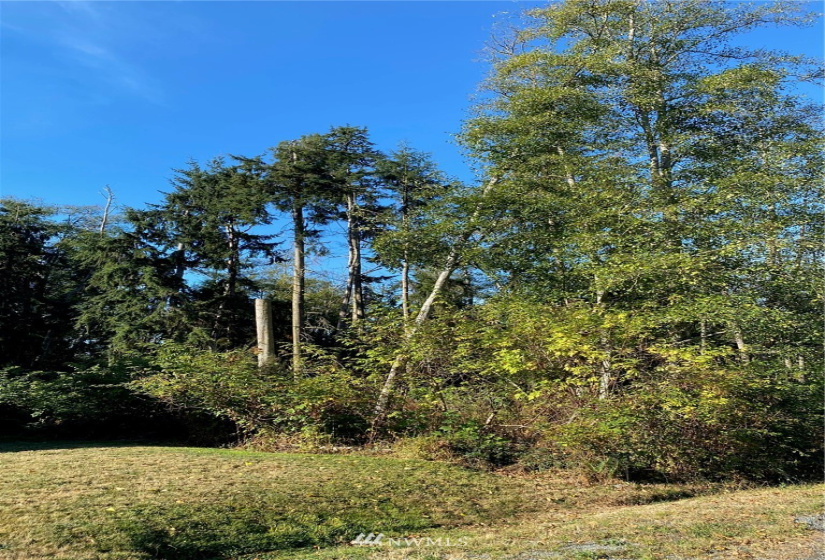0 XXX Cox, Coupeville, Washington 98239, ,Land,For Sale,Cox,NWM1842478