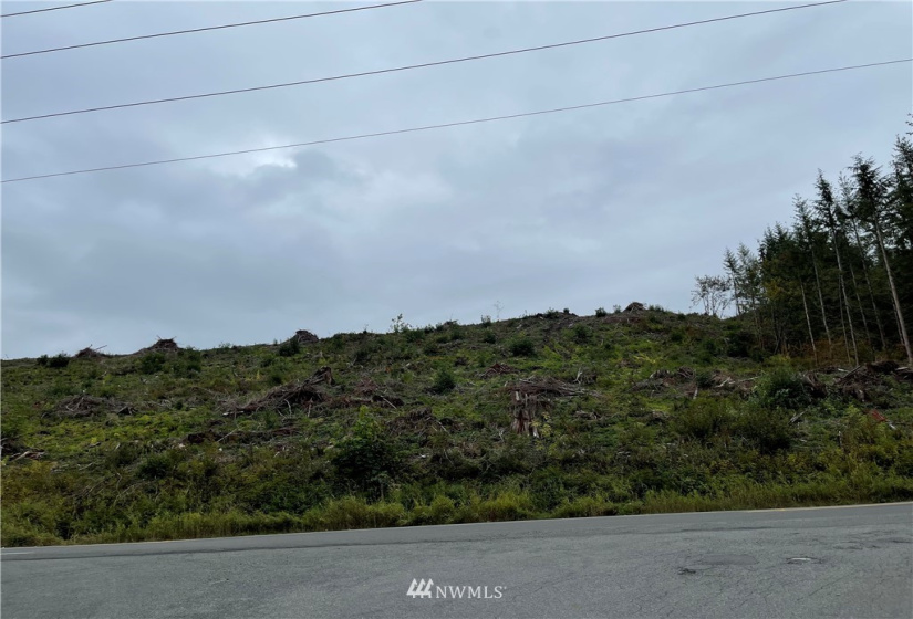 2 XXX Green River Gorge, Black Diamond, Washington 98010, ,Land,For Sale,Green River Gorge,NWM1843689