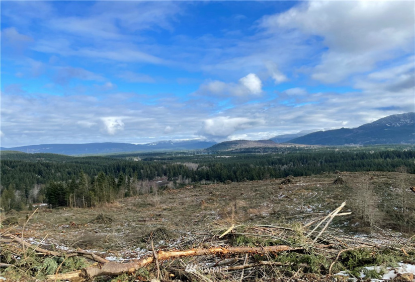 2 XXX Green River Gorge, Black Diamond, Washington 98010, ,Land,For Sale,Green River Gorge,NWM1843689