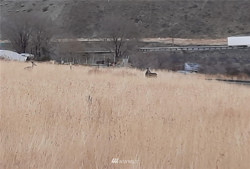 0 BRIDGEPORT HILL, Bridgeport, Washington 98813, ,Land,For Sale,BRIDGEPORT HILL,NWM1845021