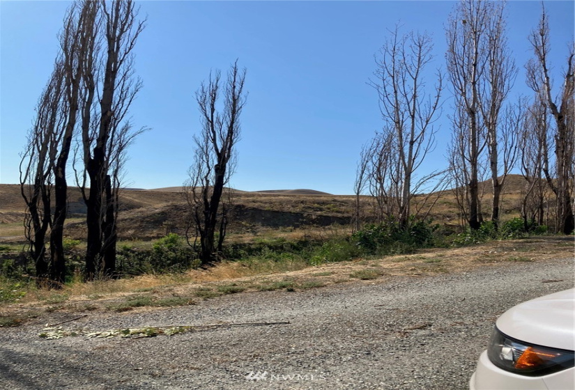 0 BRIDGEPORT HILL, Bridgeport, Washington 98813, ,Land,For Sale,BRIDGEPORT HILL,NWM1845021