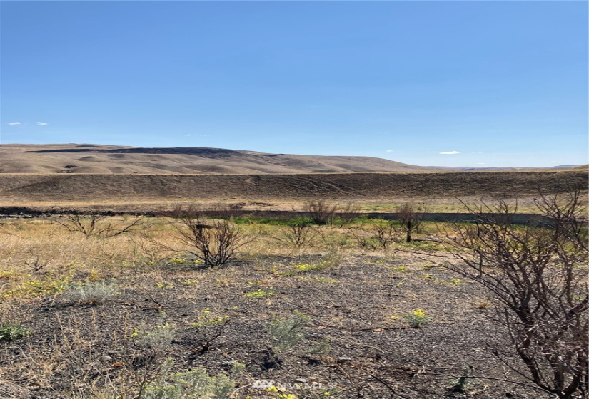 0 BRIDGEPORT HILL, Bridgeport, Washington 98813, ,Land,For Sale,BRIDGEPORT HILL,NWM1845021
