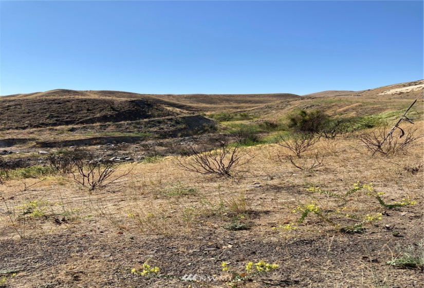0 BRIDGEPORT HILL, Bridgeport, Washington 98813, ,Land,For Sale,BRIDGEPORT HILL,NWM1845021