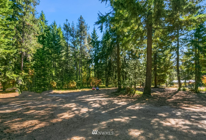 50 Silver Trail, Easton, Washington 98925, ,Land,For Sale,Silver Trail,NWM1845032
