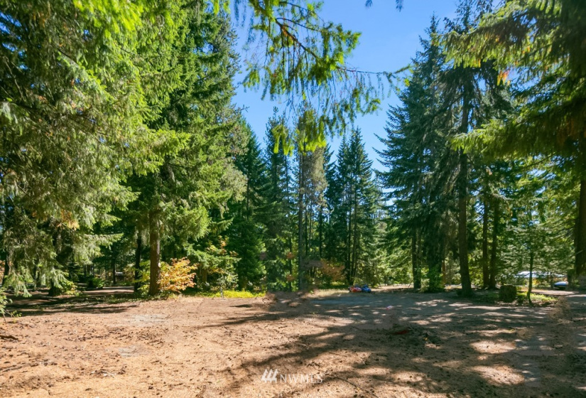 50 Silver Trail, Easton, Washington 98925, ,Land,For Sale,Silver Trail,NWM1845032