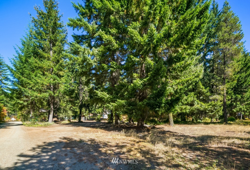 50 Silver Trail, Easton, Washington 98925, ,Land,For Sale,Silver Trail,NWM1845032