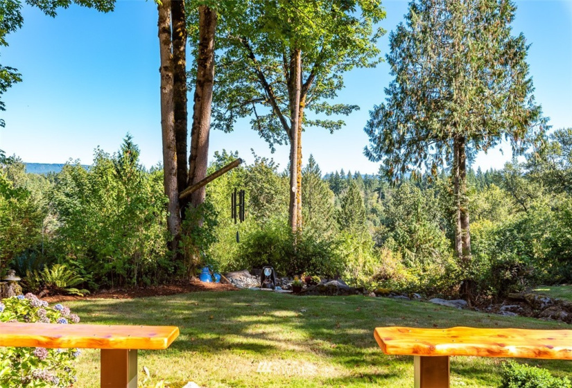 13118 328th, Duvall, Washington 98019, ,Business Opportunity,For Sale,328th,NWM1845170