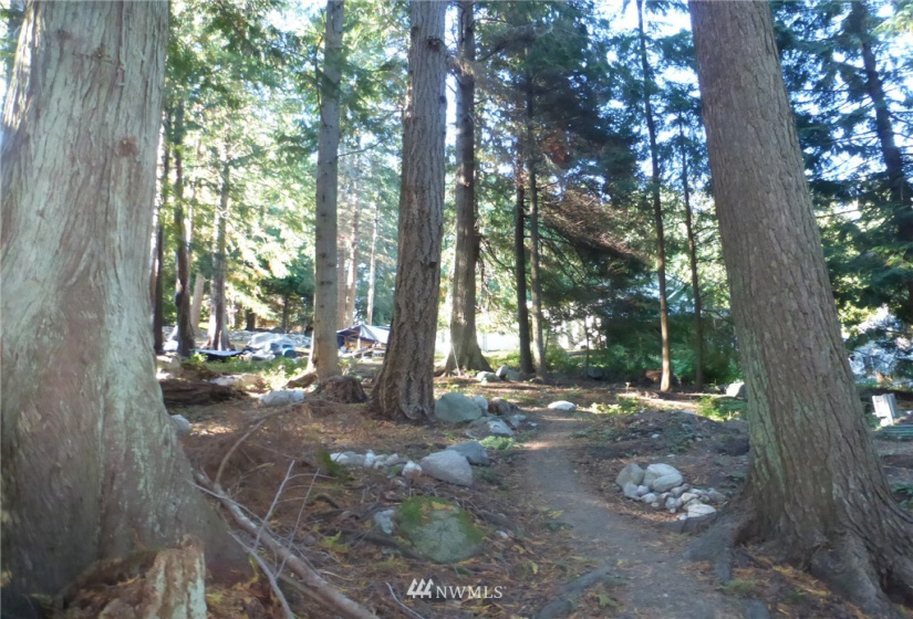 100 Lodgepole, Lopez Island, Washington 98261, ,Land,For Sale,Islandale No 1,Lodgepole,NWM1845194
