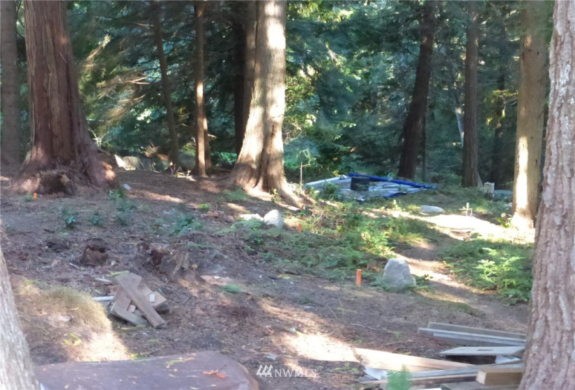 100 Lodgepole, Lopez Island, Washington 98261, ,Land,For Sale,Islandale No 1,Lodgepole,NWM1845194