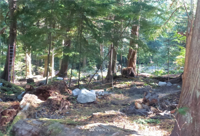 100 Lodgepole, Lopez Island, Washington 98261, ,Land,For Sale,Islandale No 1,Lodgepole,NWM1845194