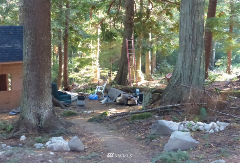 100 Lodgepole, Lopez Island, Washington 98261, ,Land,For Sale,Islandale No 1,Lodgepole,NWM1845194