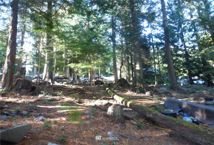 100 Lodgepole, Lopez Island, Washington 98261, ,Land,For Sale,Islandale No 1,Lodgepole,NWM1845194