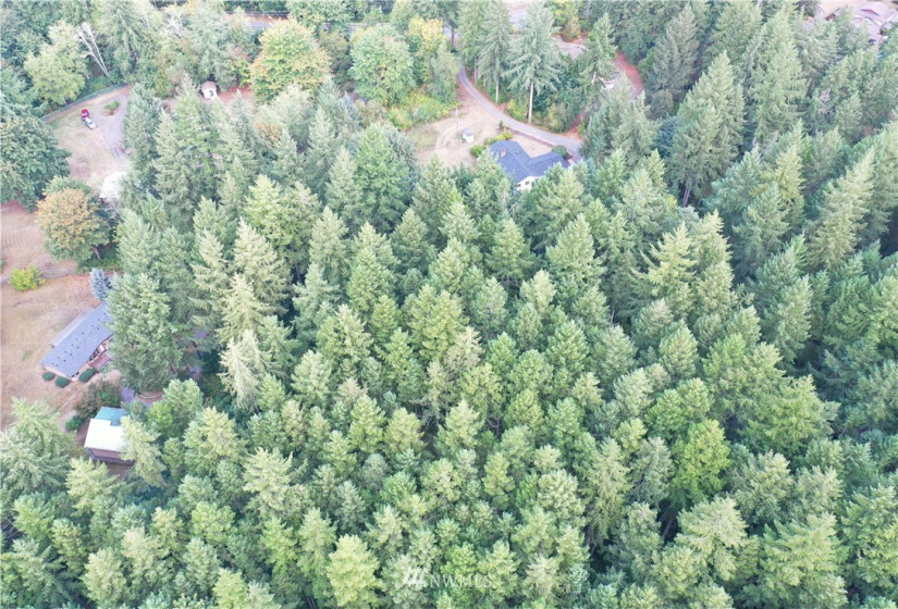 6645 Hawks Prairie, Olympia, Washington 98516, ,Land,For Sale,Hawks Prairie,NWM1844551