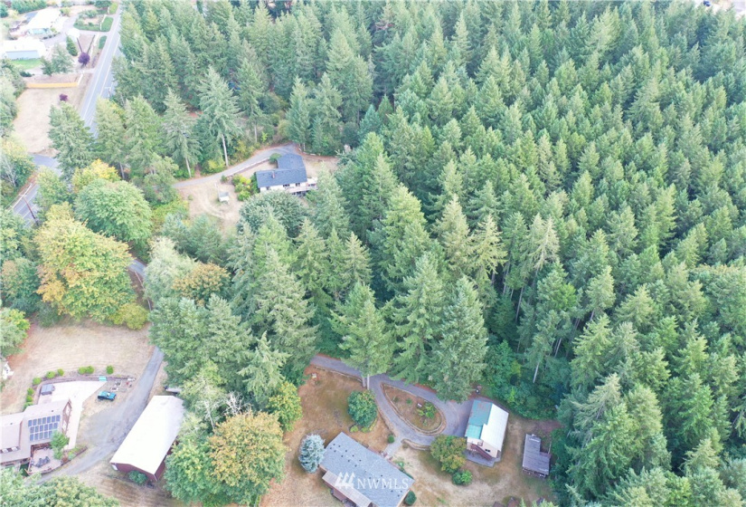 6645 Hawks Prairie, Olympia, Washington 98516, ,Land,For Sale,Hawks Prairie,NWM1844551
