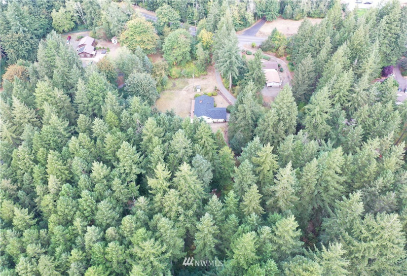 6645 Hawks Prairie, Olympia, Washington 98516, ,Land,For Sale,Hawks Prairie,NWM1844551