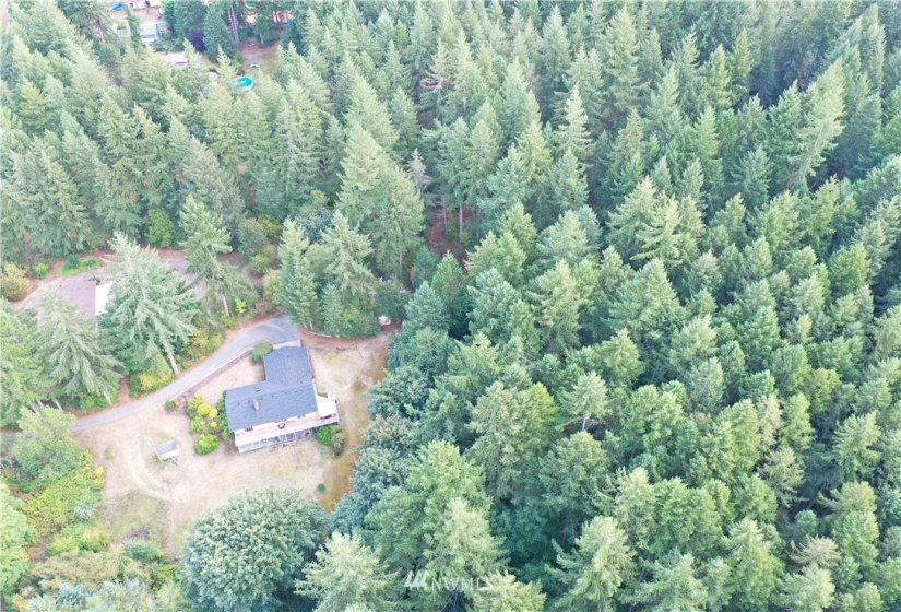 6645 Hawks Prairie, Olympia, Washington 98516, ,Land,For Sale,Hawks Prairie,NWM1844551