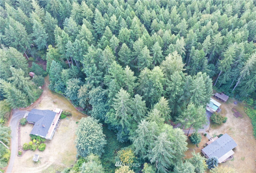 6645 Hawks Prairie, Olympia, Washington 98516, ,Land,For Sale,Hawks Prairie,NWM1844551