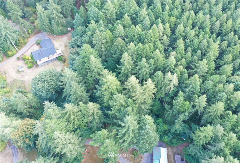 6645 Hawks Prairie, Olympia, Washington 98516, ,Land,For Sale,Hawks Prairie,NWM1844551