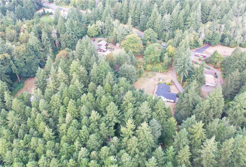 6645 Hawks Prairie, Olympia, Washington 98516, ,Land,For Sale,Hawks Prairie,NWM1844551